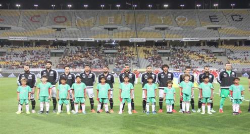 بالفيديو.. جنوب افريقيا تسجل هدفا مبكرا في مصر 